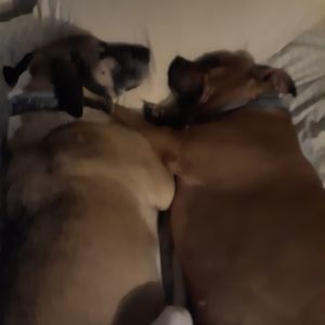 Meet your Posher, Jane